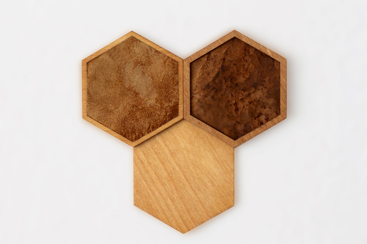 FUNGI Hexagon 3er Set