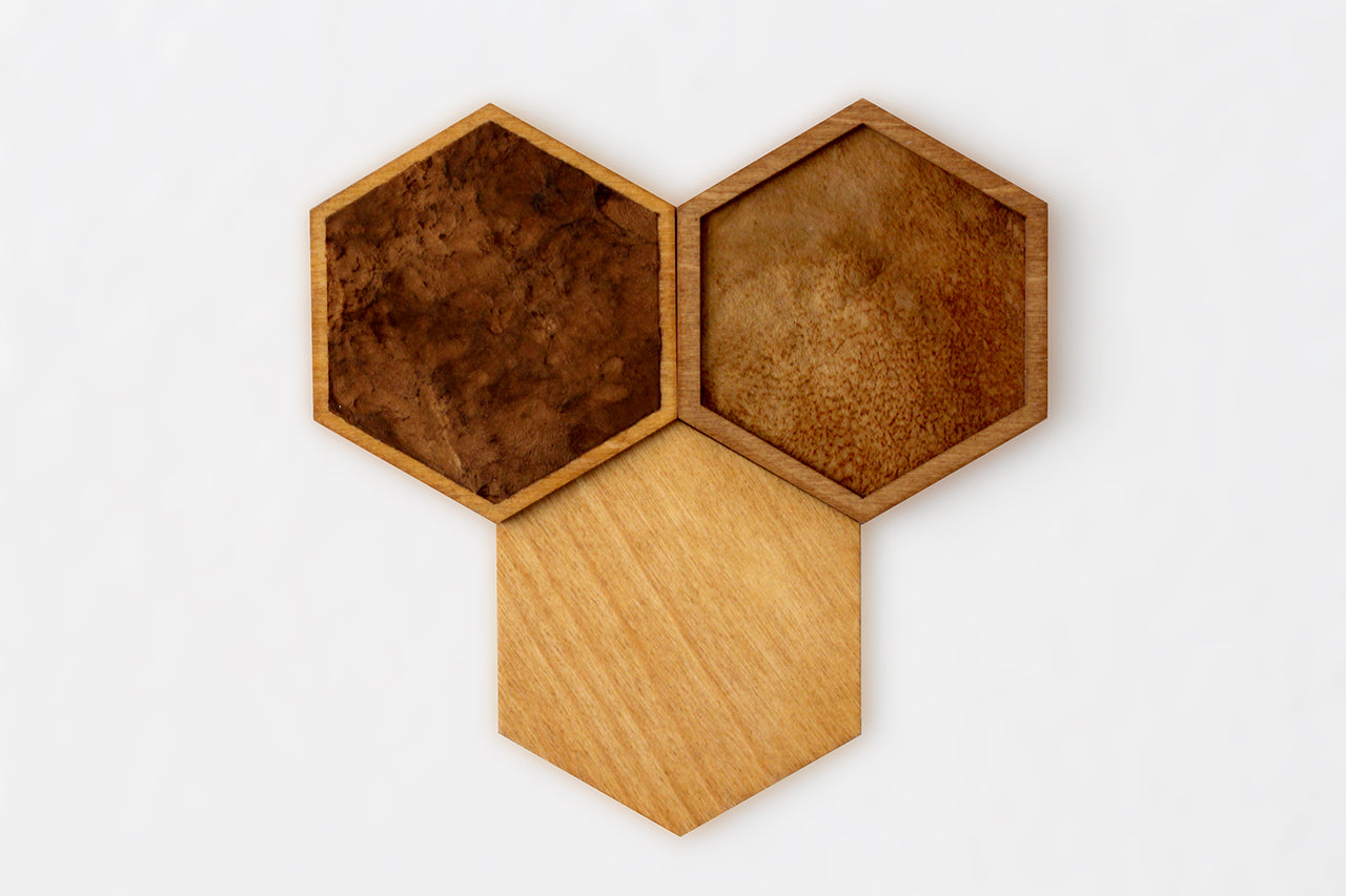 FUNGI Hexagon 3er Set