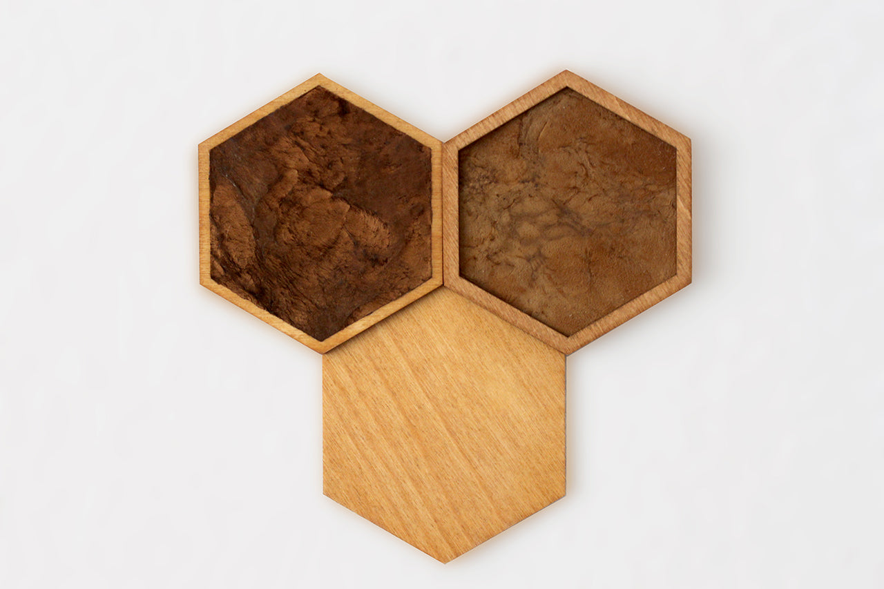 FUNGI Hexagon 3er Set
