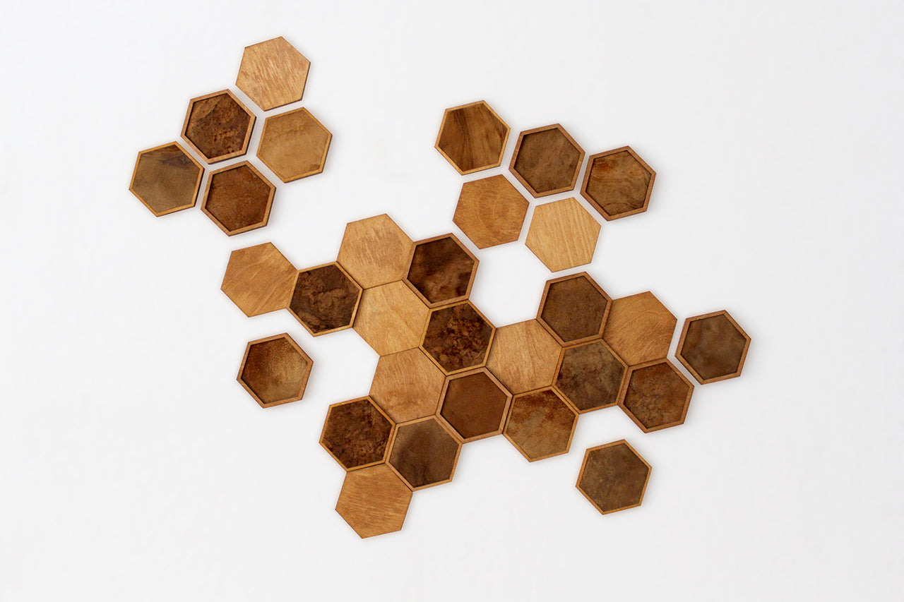 FUNGI Hexagon 3er Set